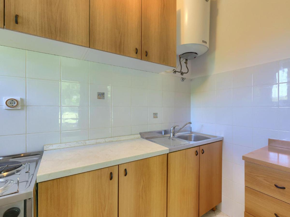 Vesela-1 By Interhome